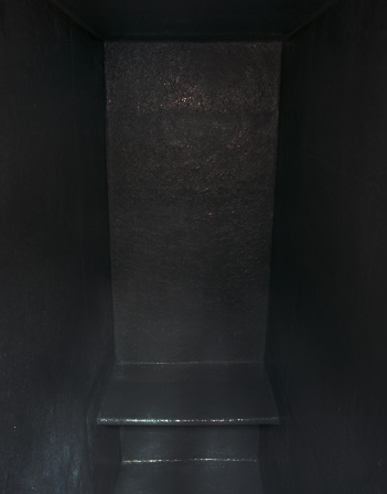 cell, 2008